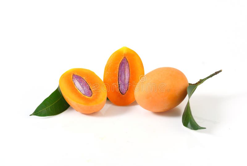 Marian plum or maprang thai fruit isolated on white background stock photo