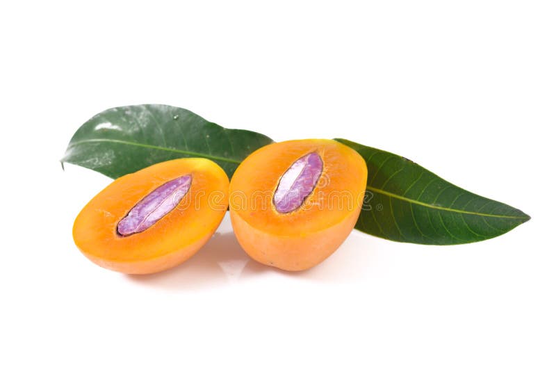 Marian plum or maprang thai fruit isolated on white background stock image