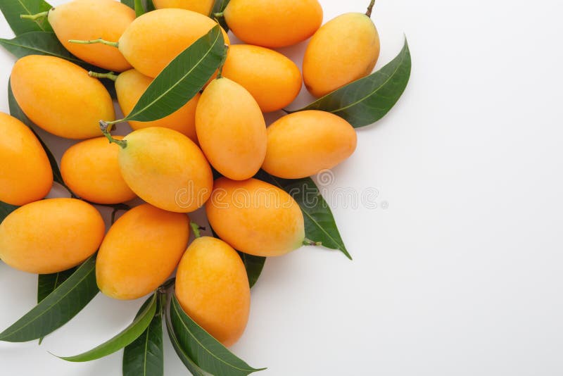 Marian plum or plango on white background stock photo