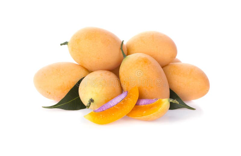 Marian plum thai fruit isolated on white background royalty free stock photos