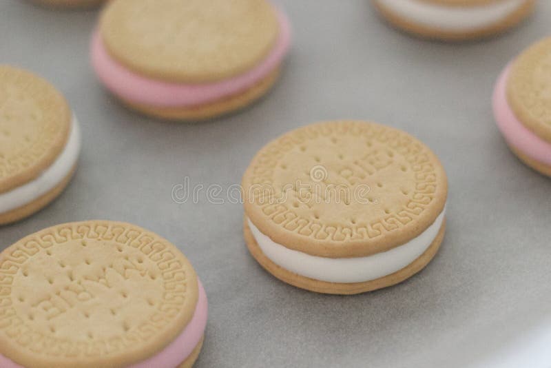 Marie Biscuits with a Marshmallow Stock Image Image of marshmallow, chocolate 246574959