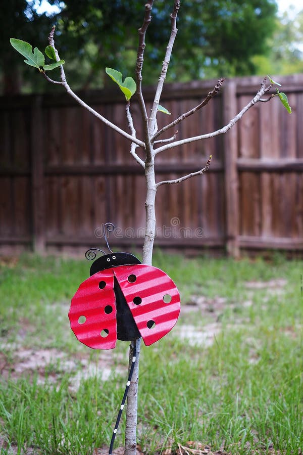 Hand crafted red and black metal ladybug sculpture used as garden feature decoration. Hand crafted red and black metal ladybug sculpture used as garden feature decoration.