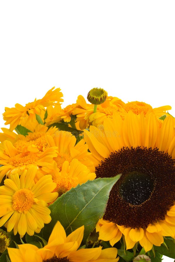Sunflowers and Marigold Flowers Bouquet Stock Photo Image of