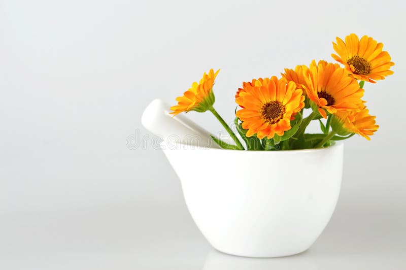 Marigold λουλούδια σε ένα κονίαμα στοκ εικόνα με δικαίωμα ελεύθερης χρήσης Marigold λουλούδια σε ένα κονίαμα στοκ εικόνα με δικαίωμα ελεύθερης χρήσης