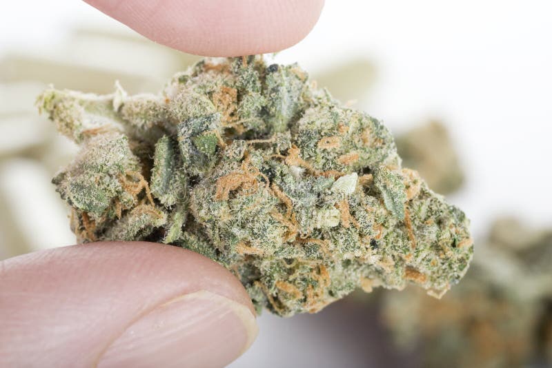 marihuana lecznicza fotografia royalty free marihuana lecznicza fotografia royalty free