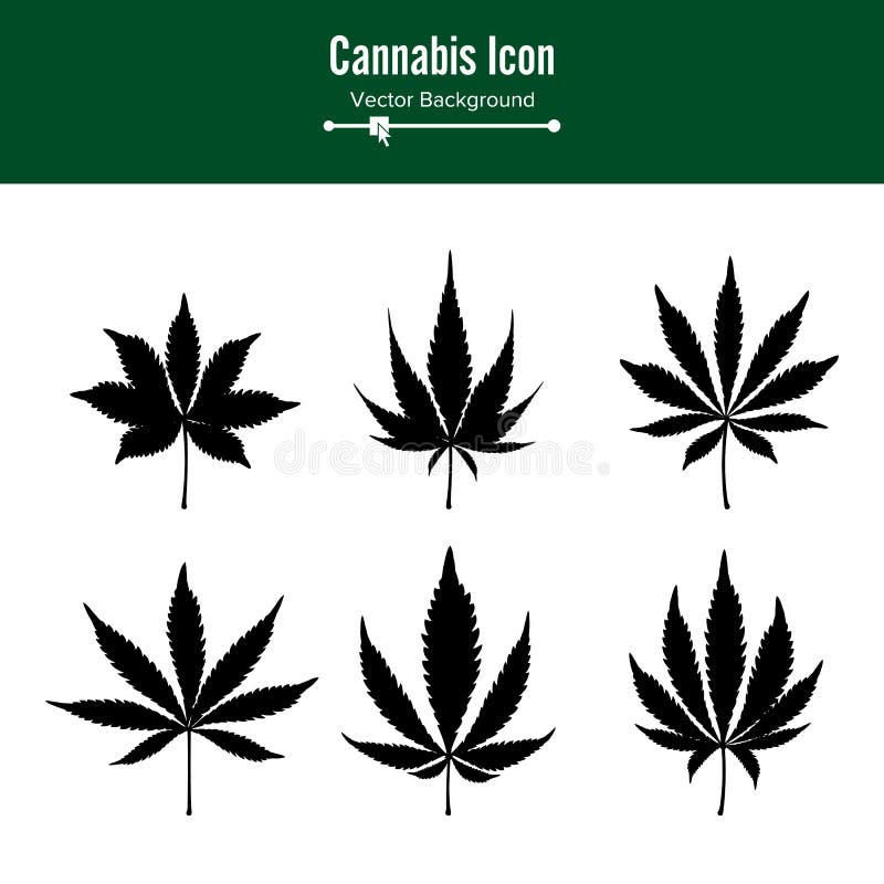 Marihuana liścia wektor Zielona Konopiana marihuana Sativa lub marihuany marihuany Indica liść Odizolowywający Na Białym tle royalty ilustracja Marihuana liścia wektor Zielona Konopiana marihuana Sativa lub marihuany marihuany Indica liść Odizolowywający Na Białym tle royalty ilustracja
