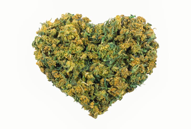 Marijuana heart shape stock photo. Image of green, concept 107070206