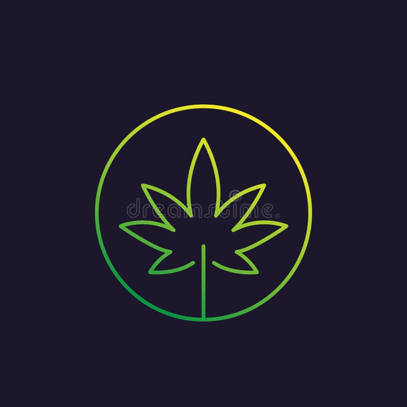Marijuana leaf, cannabis vector linear icon vector illustration Marijuana leaf, cannabis vector linear icon vector illustration