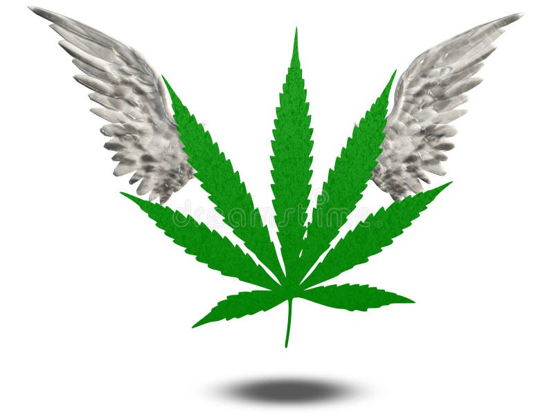 Marijuana Leaf with wings stock illustration. Illustration of drug
