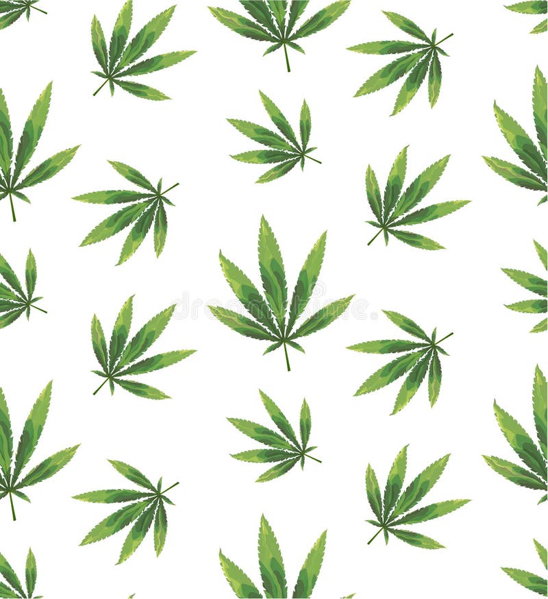 Marijuana Leaves and Hookah Seamless Pattern. Stock Illustration