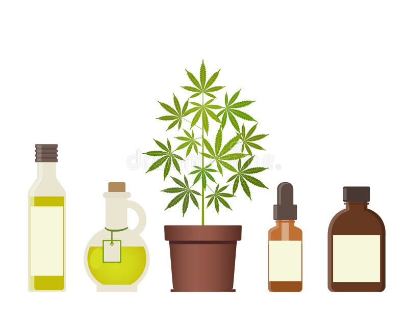 Download Marijuana Plant And Cannabis Oil Medical Marijuana Stock Vector Illustration Of Herbal Cure 117682874