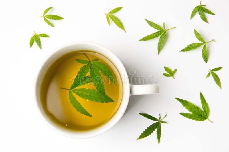Marijuanaörtte- och cannabissidor arkivbilder Marijuanaörtte- och cannabissidor arkivbilder