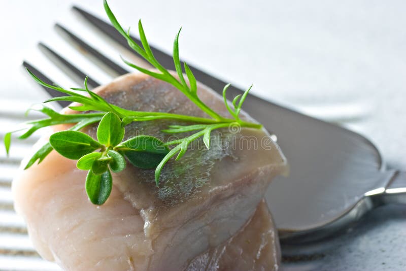 Red Fish stock image. Image of freshness, fisherman, omega 5072061