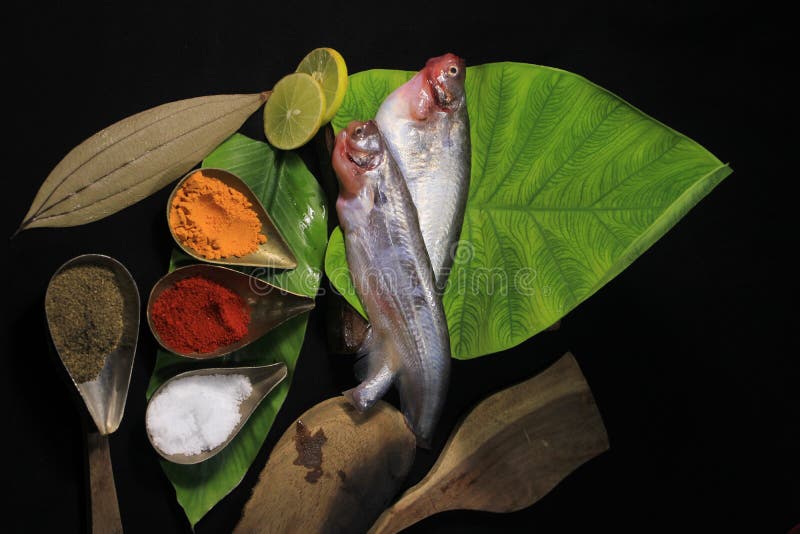Marinated Fresh Fish with Vegetables on a Black Background. Stock Image