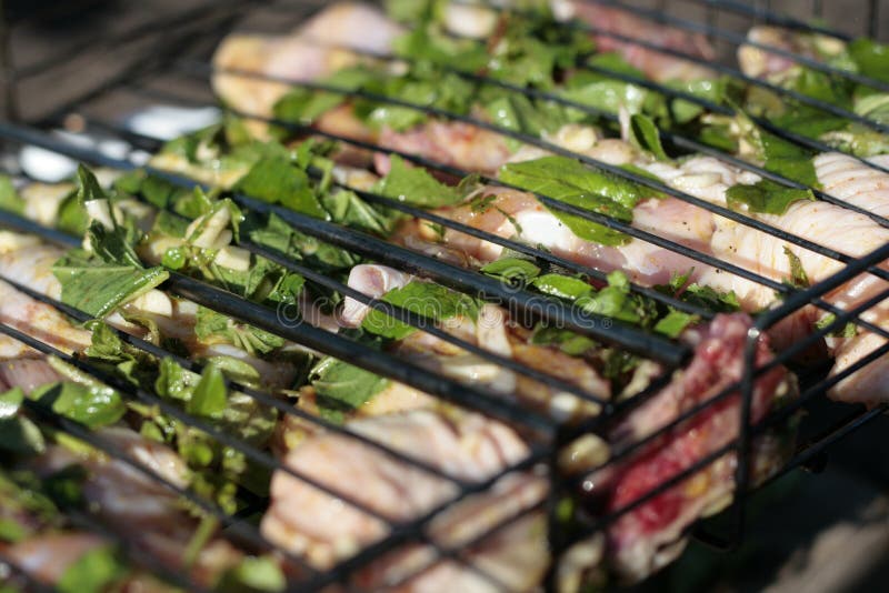 Marinated Meat with Herbs for Grill Stock Photo Image of gridiron
