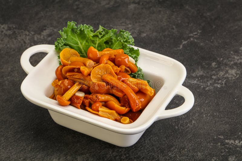 Marinated Mushroom Honey Agaric in the Bowl Stock Photo Image of