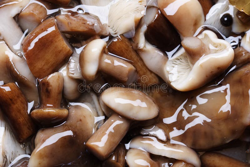 Marinated mushrooms