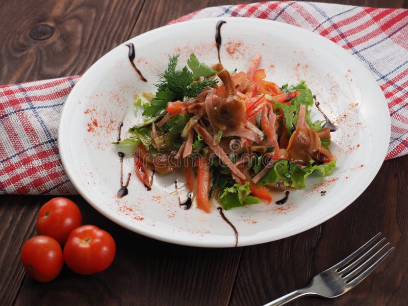 Marinated mushrooms and sausage in vegetable salad royalty free stock photos Marinated mushrooms and sausage in vegetable salad royalty free stock photos