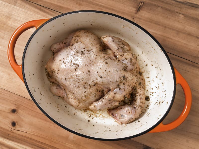 Marinated whole chicken stock image. Image of cast, chicken 32975175