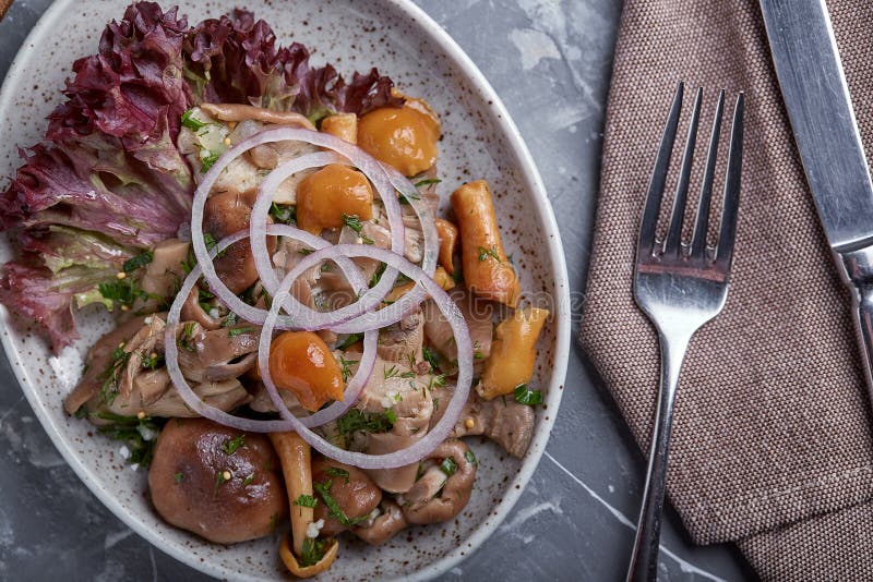 Marinated грибы и луки в плите на серой предпосылке стоковое фото rf Marinated грибы и луки в плите на серой предпосылке стоковое фото rf