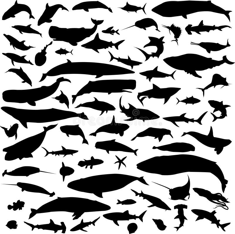 Marine Animals Silhouette Contour Stock Vector - Illustration of tuna
