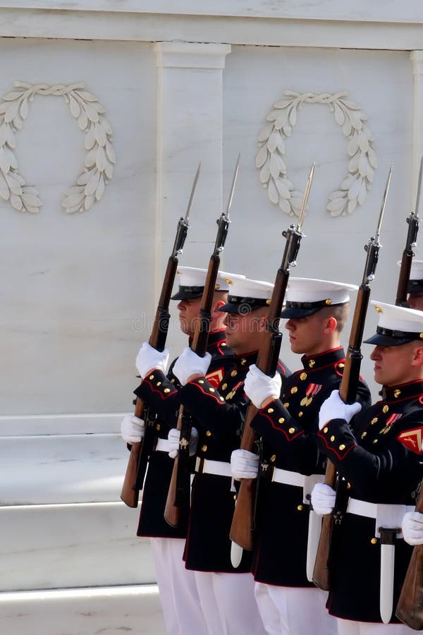 Marine bij de Nationale Begraafplaats van Arlington royalty-vrije stock afbeeldingen Marine bij de Nationale Begraafplaats van Arlington royalty-vrije stock afbeeldingen