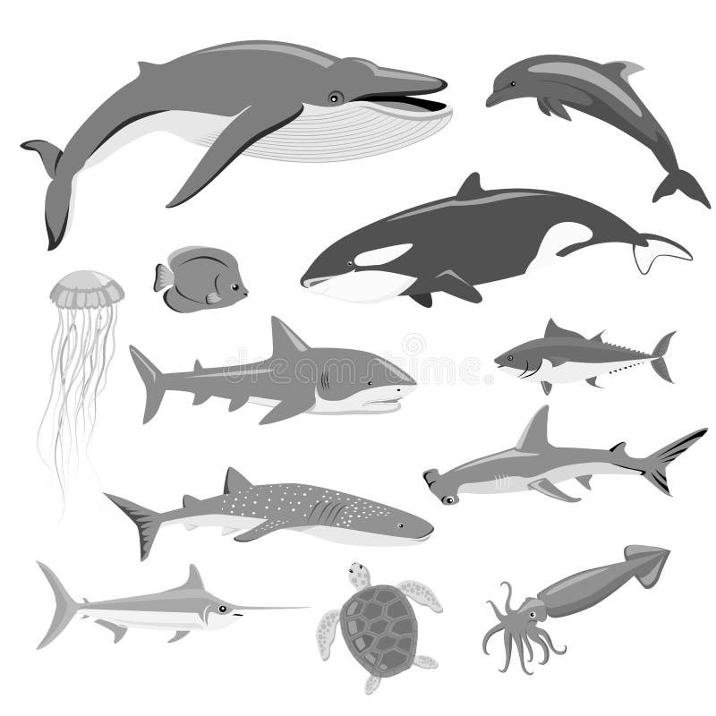 Marine Fauna Set des animaux aquatiques illustration de vecteur Marine Fauna Set des animaux aquatiques illustration de vecteur