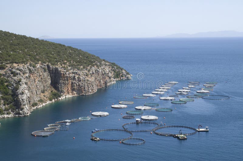 Marine fish farm in Greece stock image. Image of industry 171566611