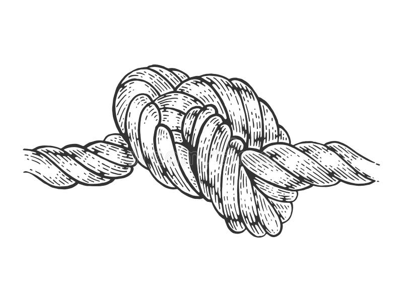 knot drawing