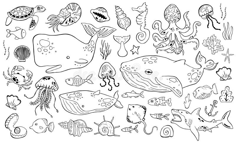 Set of marine life animals stock vector. Illustration of fish - 39553759