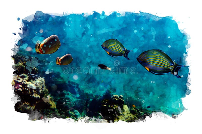 Marine life under sea water, colorful small fish with corals, mixed media of photo and watercolor