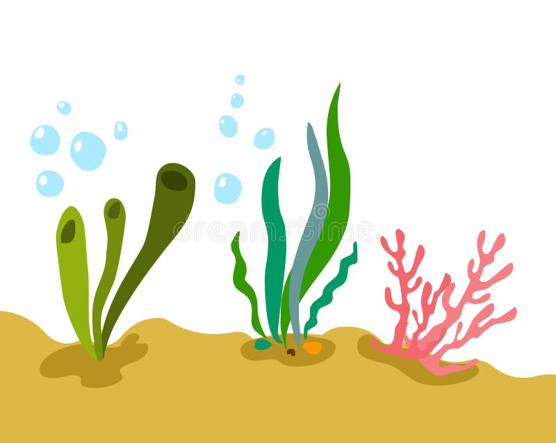 Plants under water stock vector. Illustration of blue 5717812
