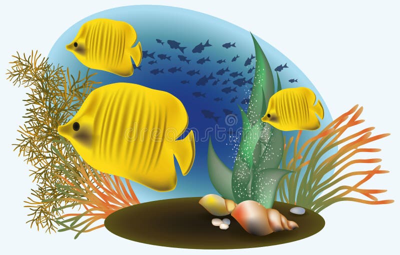 Marine life with yellow fish stock illustration