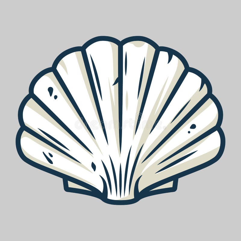 Scallop Shell Stock Illustrations – 19,374 Scallop Shell Stock  Illustrations, Vectors & Clipart - Dreamstime