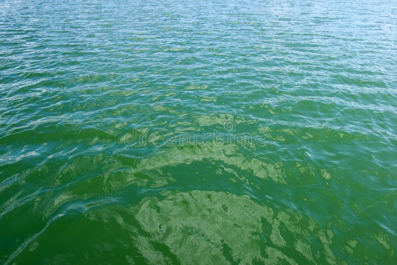 Marine waterwater stock image. Image of whirlpool, outdoors 7035881