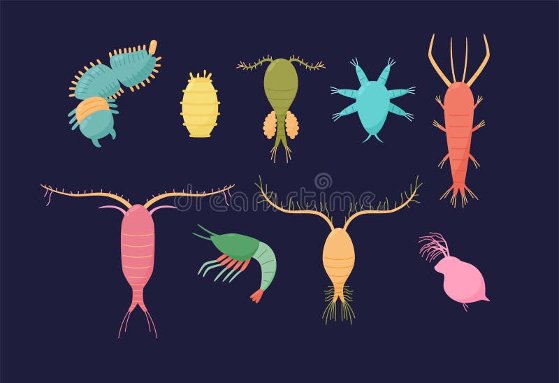 Marine Zooplankton Crustaceans and Organisms Set, Flat Vector Isolated