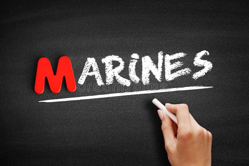 394 Army Blackboard Stock Photos Free & RoyaltyFree Stock Photos