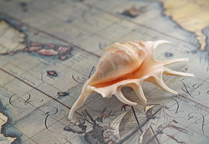 Marine shell from tropical Maureies on an old-time map. Marine shell from tropical Maureies on an old-time map