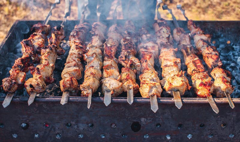 Mariné en épices, la coupe dans des morceaux et mis dessus un porc de brochette a rôti sur des charbons images stock Mariné en épices, la coupe dans des morceaux et mis dessus un porc de brochette a rôti sur des charbons images stock