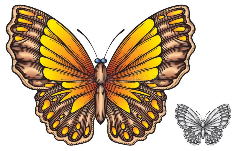 Mariposa stock de ilustración Mariposa stock de ilustración