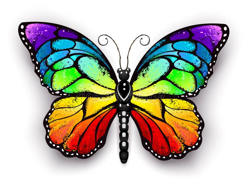 Mariposa de monarca del arco iris