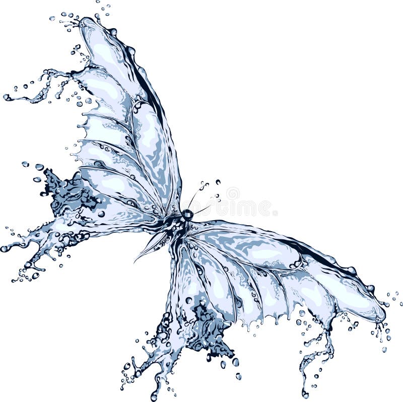 Mariposa del chapoteo del agua