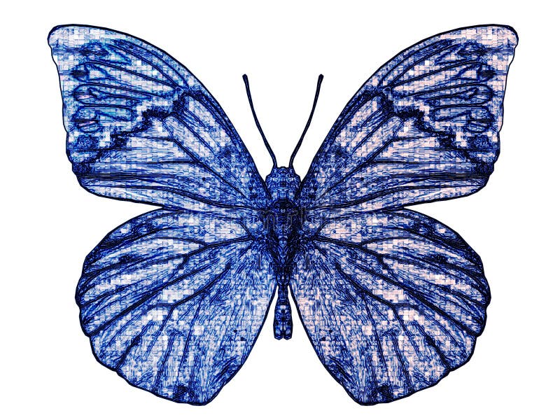 Mariposa II foto de archivo Mariposa II foto de archivo