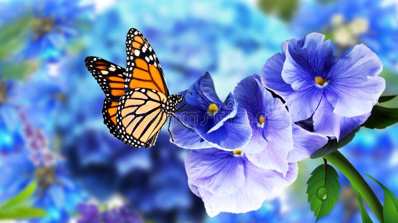 Mariposa Sobre Flores Con Fondo Natural Borroso. Hermosas Imágenes De Flores  De Mariposa Foto de archivo - Imagen de hierba, modelo: 181368170