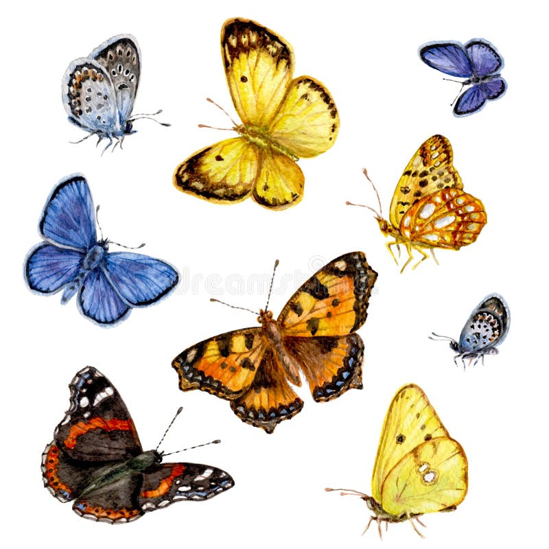Mariposas coloreadas fijadas stock de ilustración Mariposas coloreadas fijadas stock de ilustración