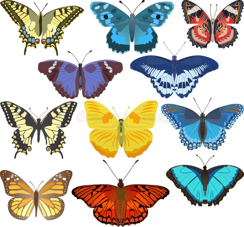 Mariposas coloridas ilustración del vector Mariposas coloridas ilustración del vector