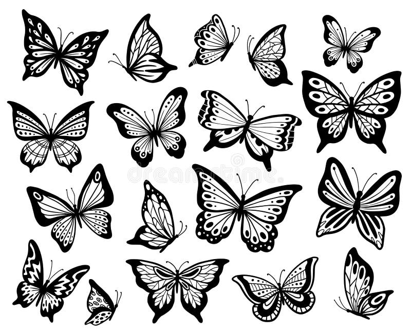 Mariposas de dibujo Estarza la mariposa, las alas de la polilla y el sistema aislado del ejemplo del vector de los insectos de vu
