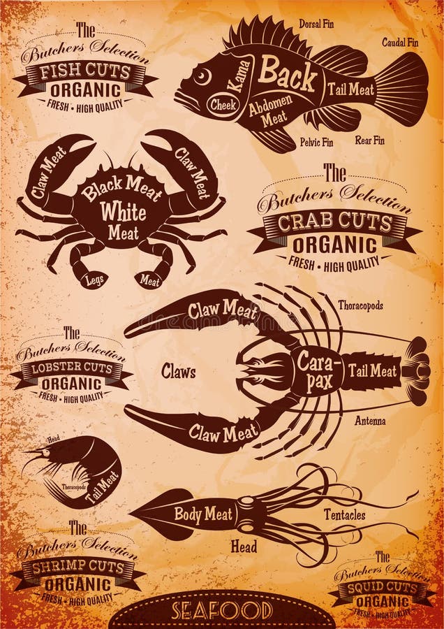 Mariscos de las reses muertas del corte del diagrama del vector libre illustration Mariscos de las reses muertas del corte del diagrama del vector libre illustration