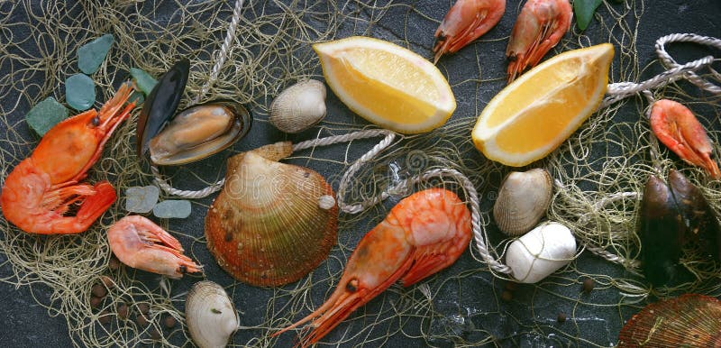 Mariscos en un fondo oscuro, camarones, mejillones, mejillones en la piedra negra, bandera imagen de archivo Mariscos en un fondo oscuro, camarones, mejillones, mejillones en la piedra negra, bandera imagen de archivo