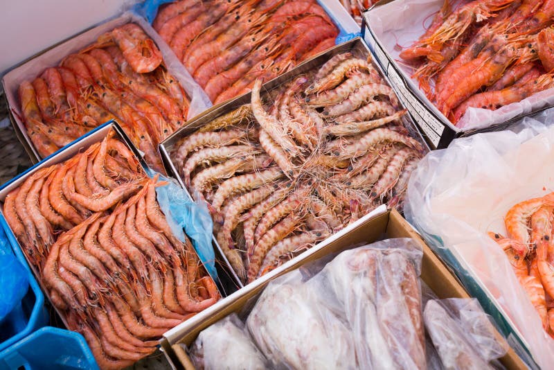 Mariscos mediterráneos enfriados cerca para arriba en contador foto de archivo libre de regalías Mariscos mediterráneos enfriados cerca para arriba en contador foto de archivo libre de regalías
